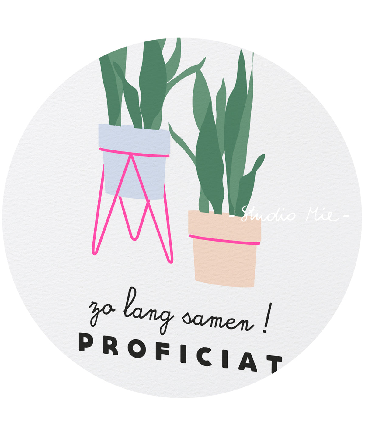 Wenskaart met twee planten in potten met fluo roze details en de tekst ‘Zo lang samen! Proficiat’