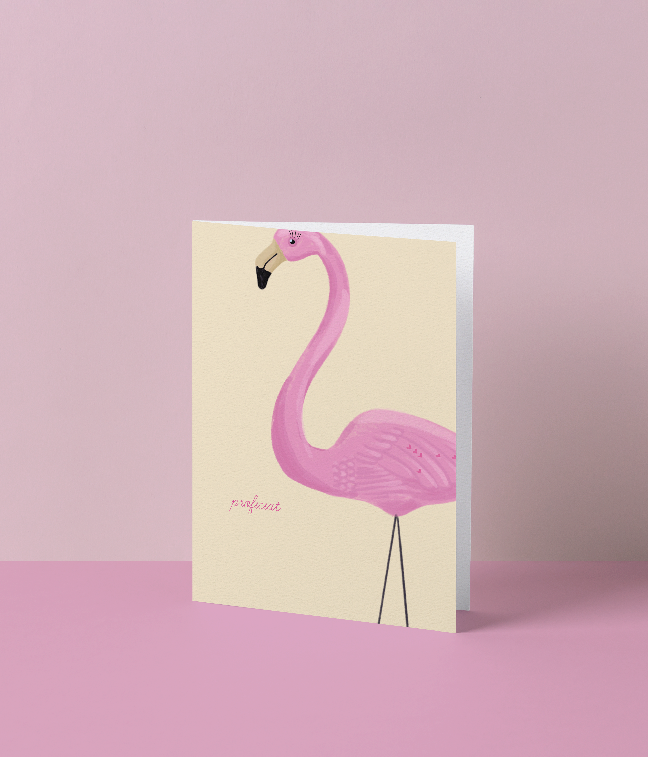 Proficiat - flamingo