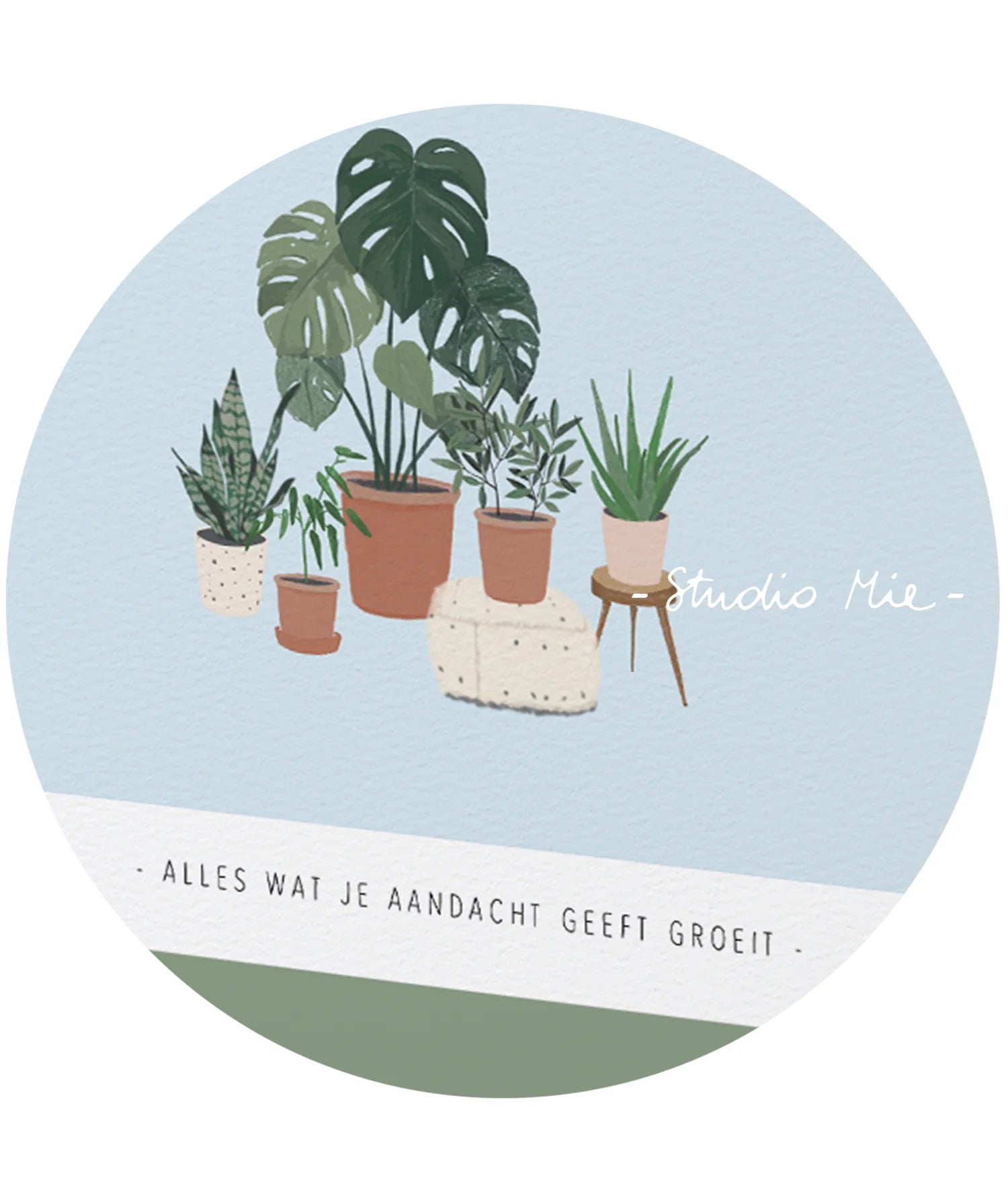 Alles wat je aandacht geeft, groeit